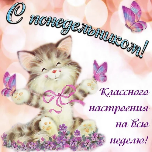 удачной недели 17.webp