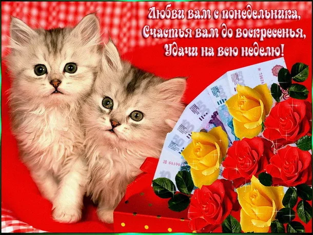 удачной недели 19.webp