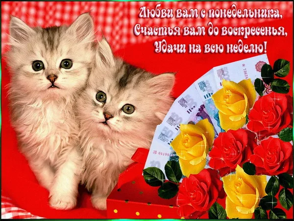 удачной недели 19.webp