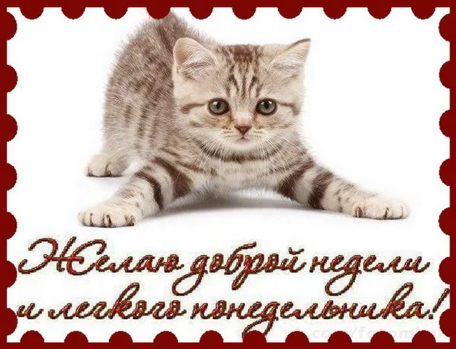 удачной недели 24.webp