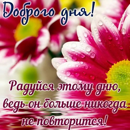 удачнрго дня 1.webp