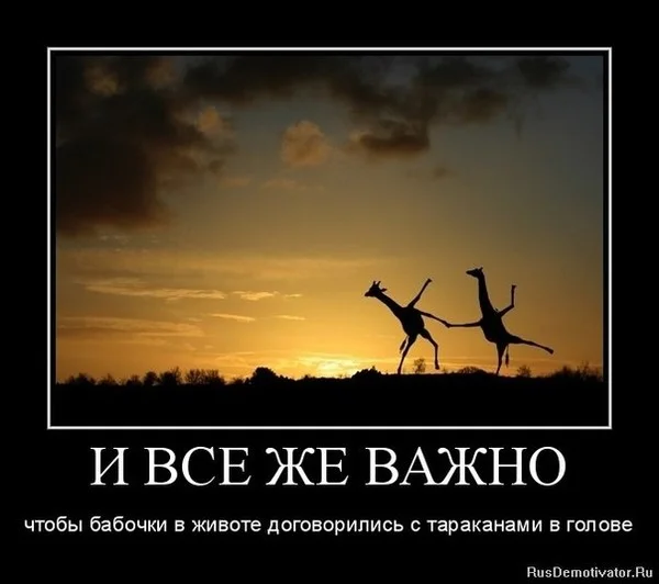 udhknYFdxec.webp
