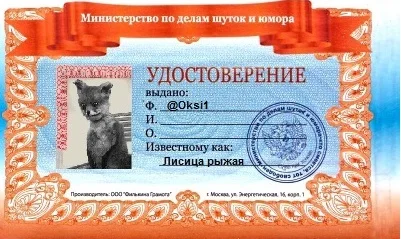 Удостоверение лисы.webp