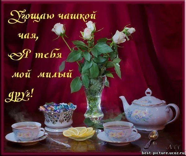 угощаю чашкой чая.webp