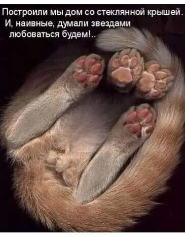 UID1687086_1658406281_23 (1).webp