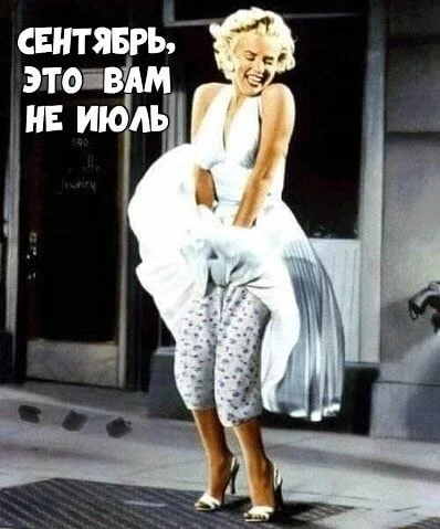 UID342447_1569495367_41 (1).webp