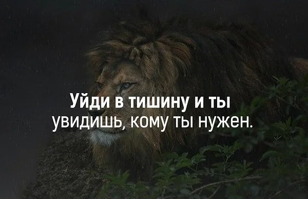 уйди.webp