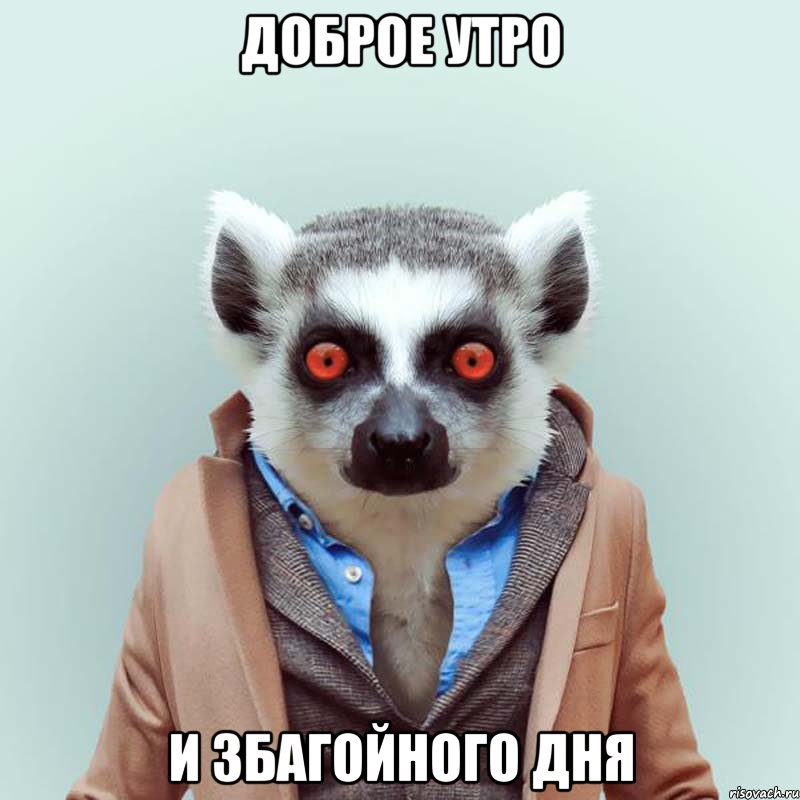 ukurennyy-lemur_29477899_orig_.jpeg