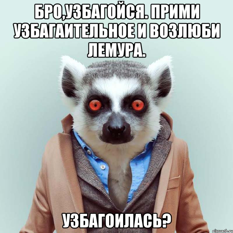 ukurennyy-lemur_30451591_orig_.jpeg