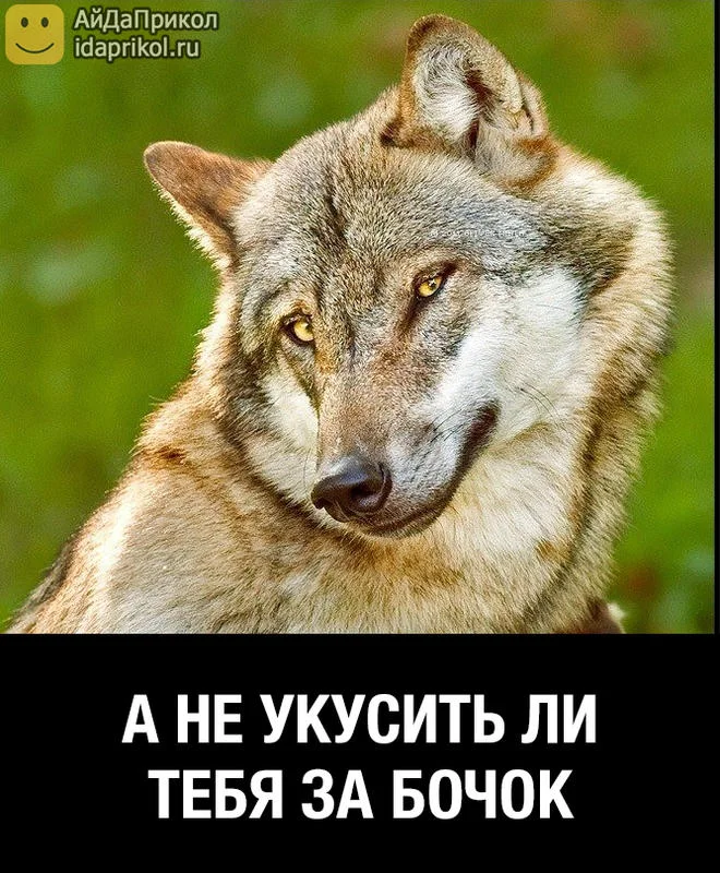 укушу.webp