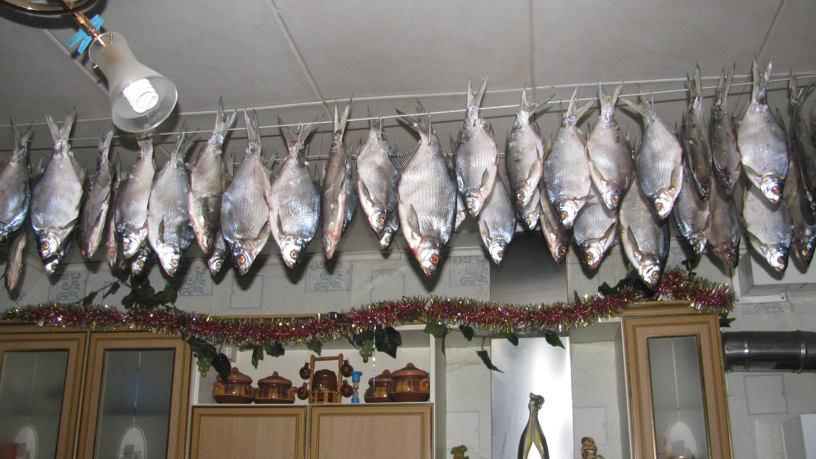 улов 31 12 2013.webp