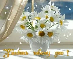 улыбнись дню.webp