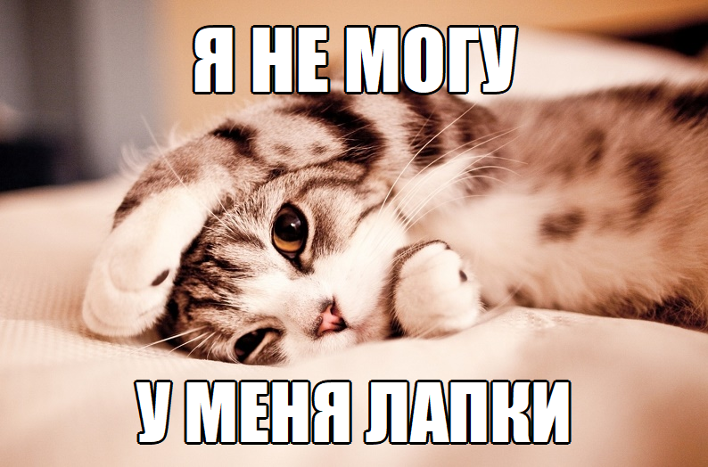 Уменялапки5.png