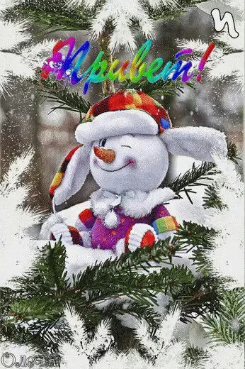 Unknown-17.webp