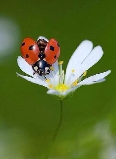 Unknown.webp