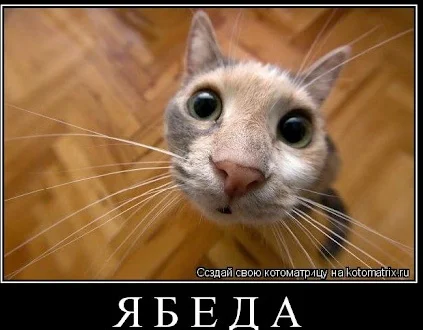 unnamed (1)__01.webp