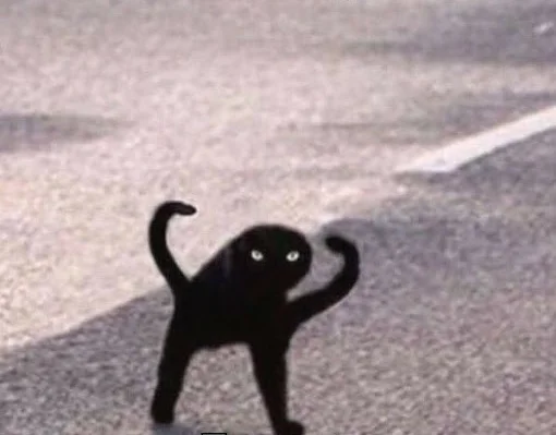 unnamed (4)__01.webp