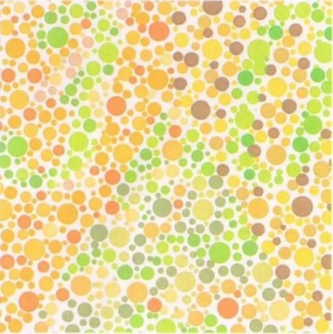 unnamed (9).webp