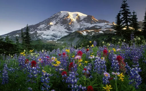 unnamed.webp