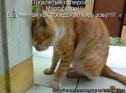 upload_2014-12-23_19-47-20.webp