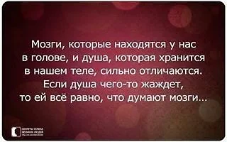 upload_2015-1-26_9-34-48.webp