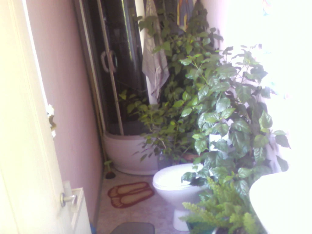 upload_2015-1-30_11-21-11.webp upload_2015-1-30_11-21-11.webp