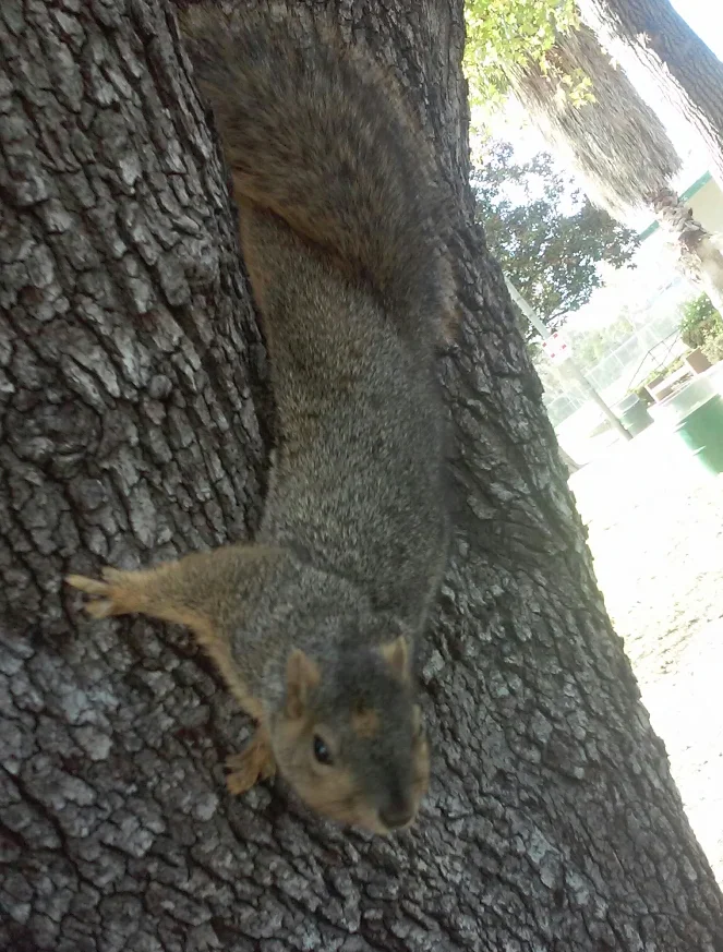 upload_2015-12-27_20-34-25.webp
