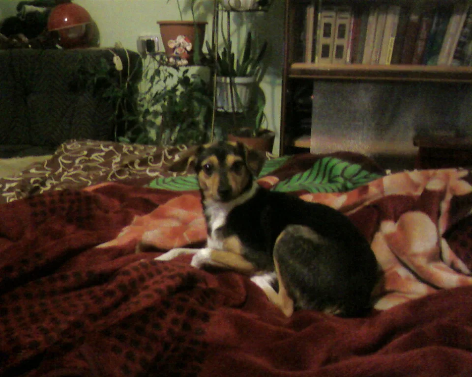upload_2015-2-4_11-31-17.webp