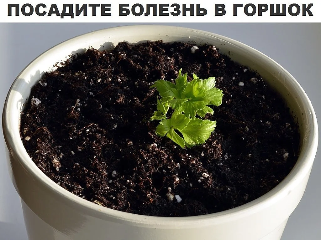 upload_2015-2-6_12-3-44.webp