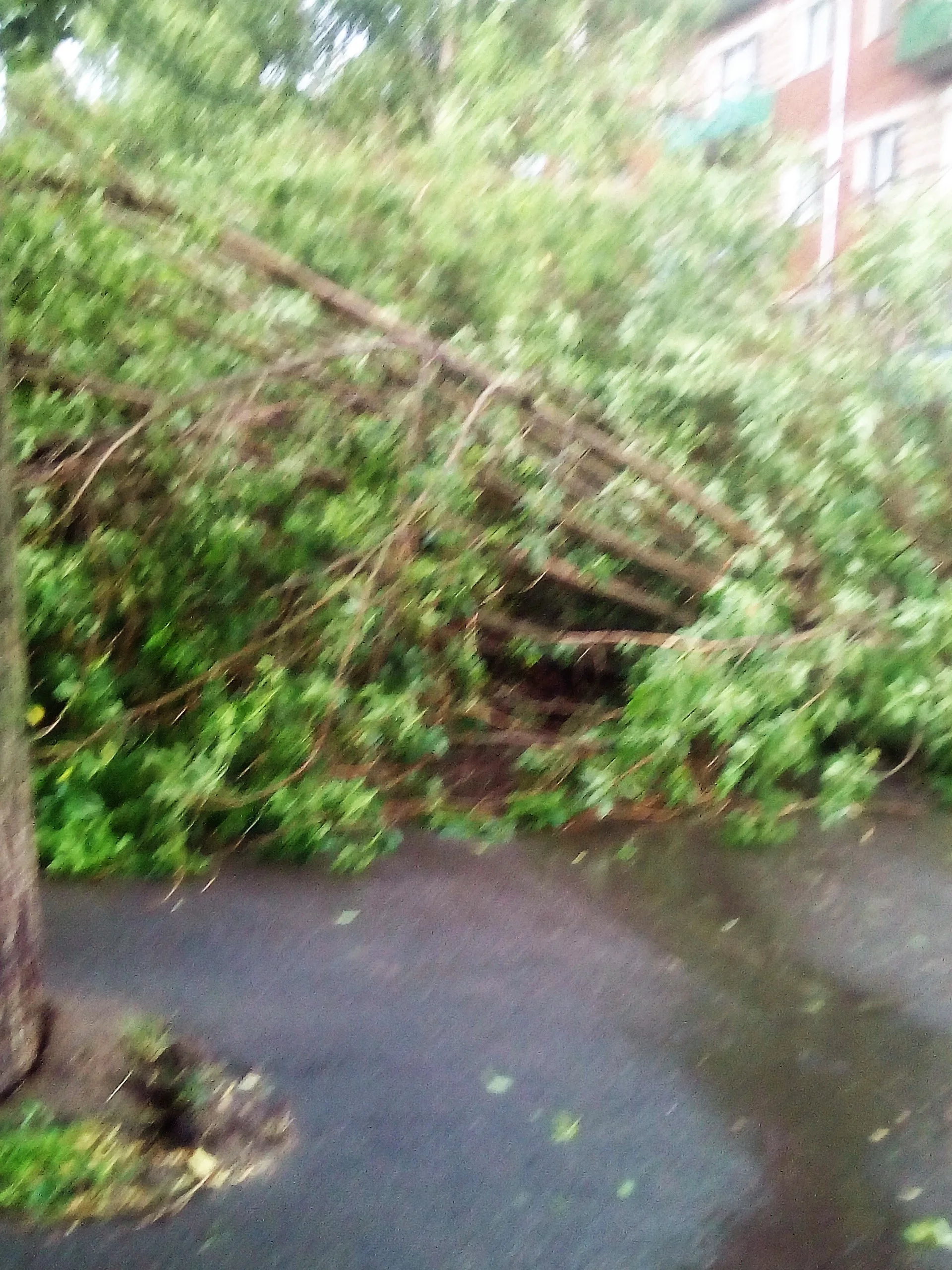 уроган 30.06.17.webp