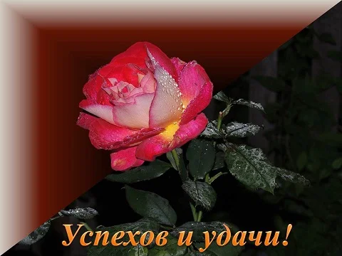 uspehov-i-udachi.webp