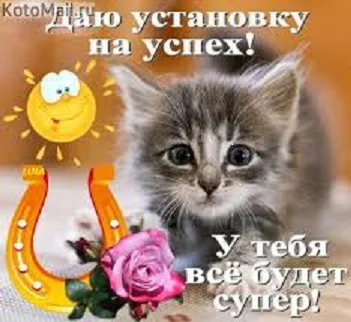 Успех.webp