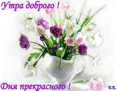 utra-dobrogo-dnya-prekrasnogo.webp