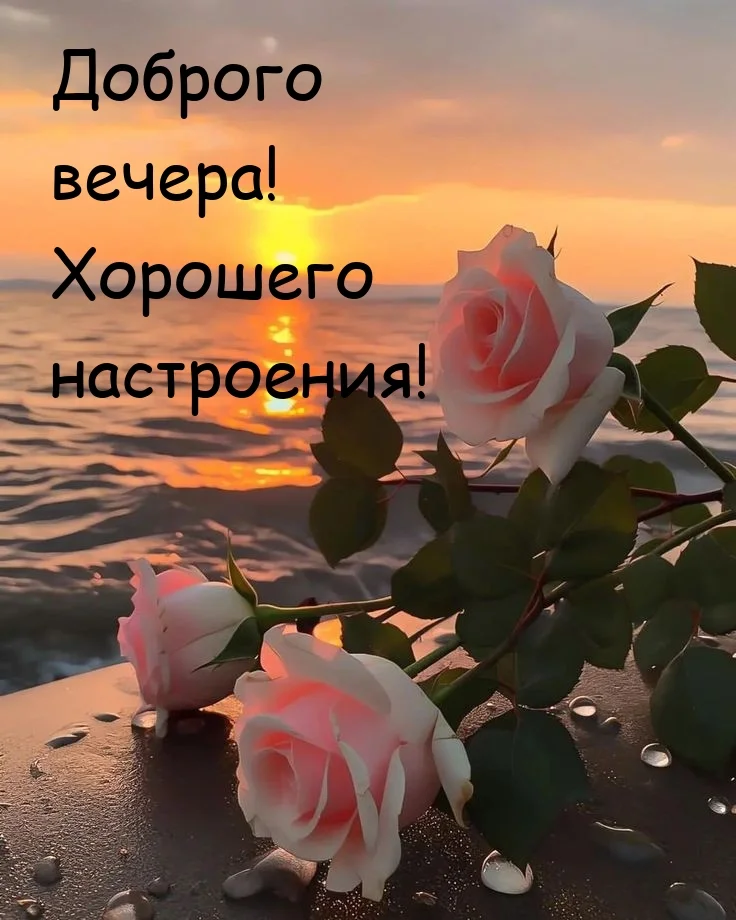utradobrogo_ru_12949.webp