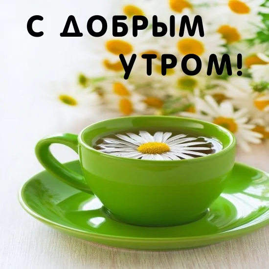 utradobrogo_ru_13302.webp