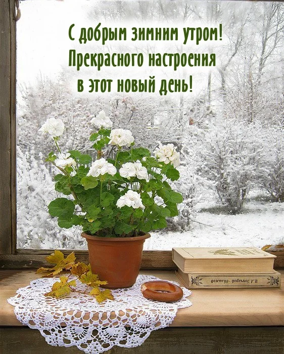 utradobrogo_ru_589.webp