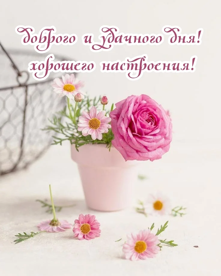 utradobrogo_ru_9512.webp