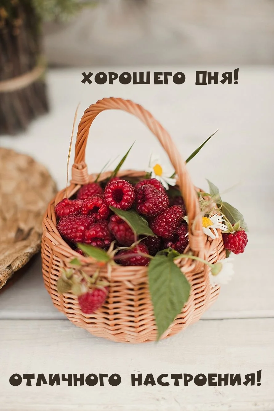 utradobrogo_ru_9575.webp