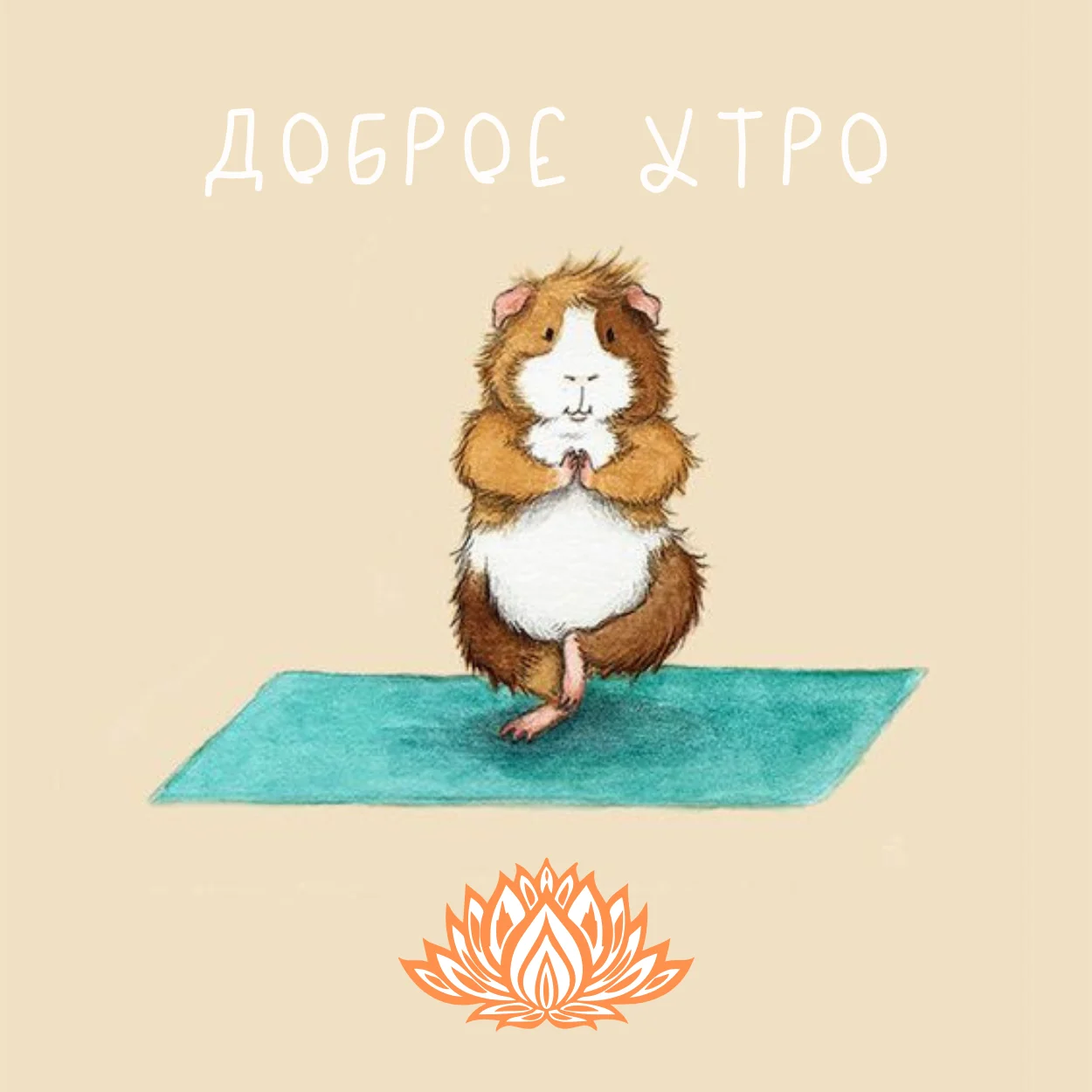 утро доброе, копия, копия.webp