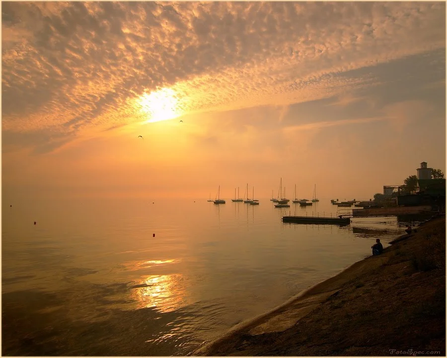 утро набережная.webp