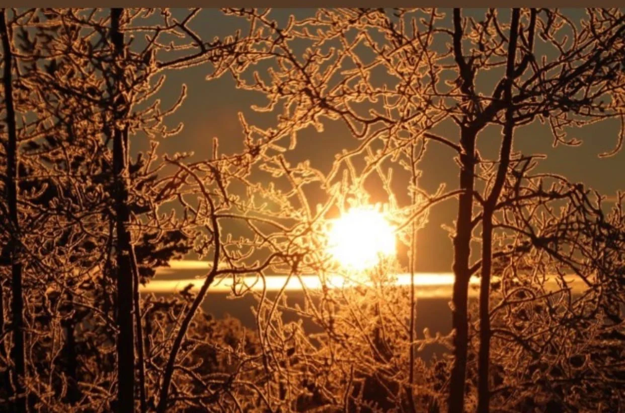 Утро Сургут.webp