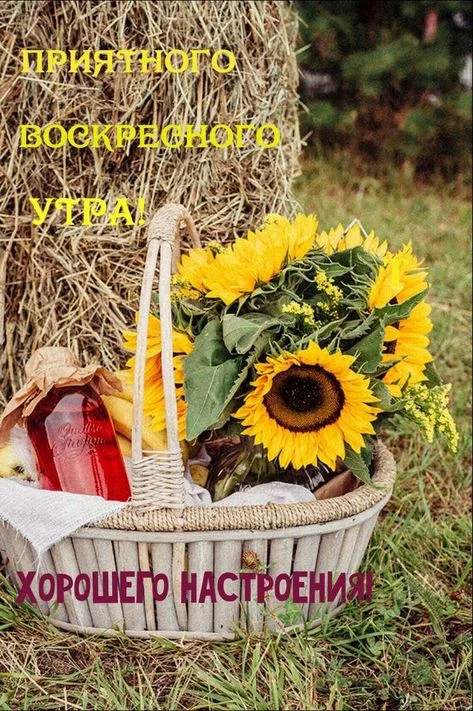 утро в.webp