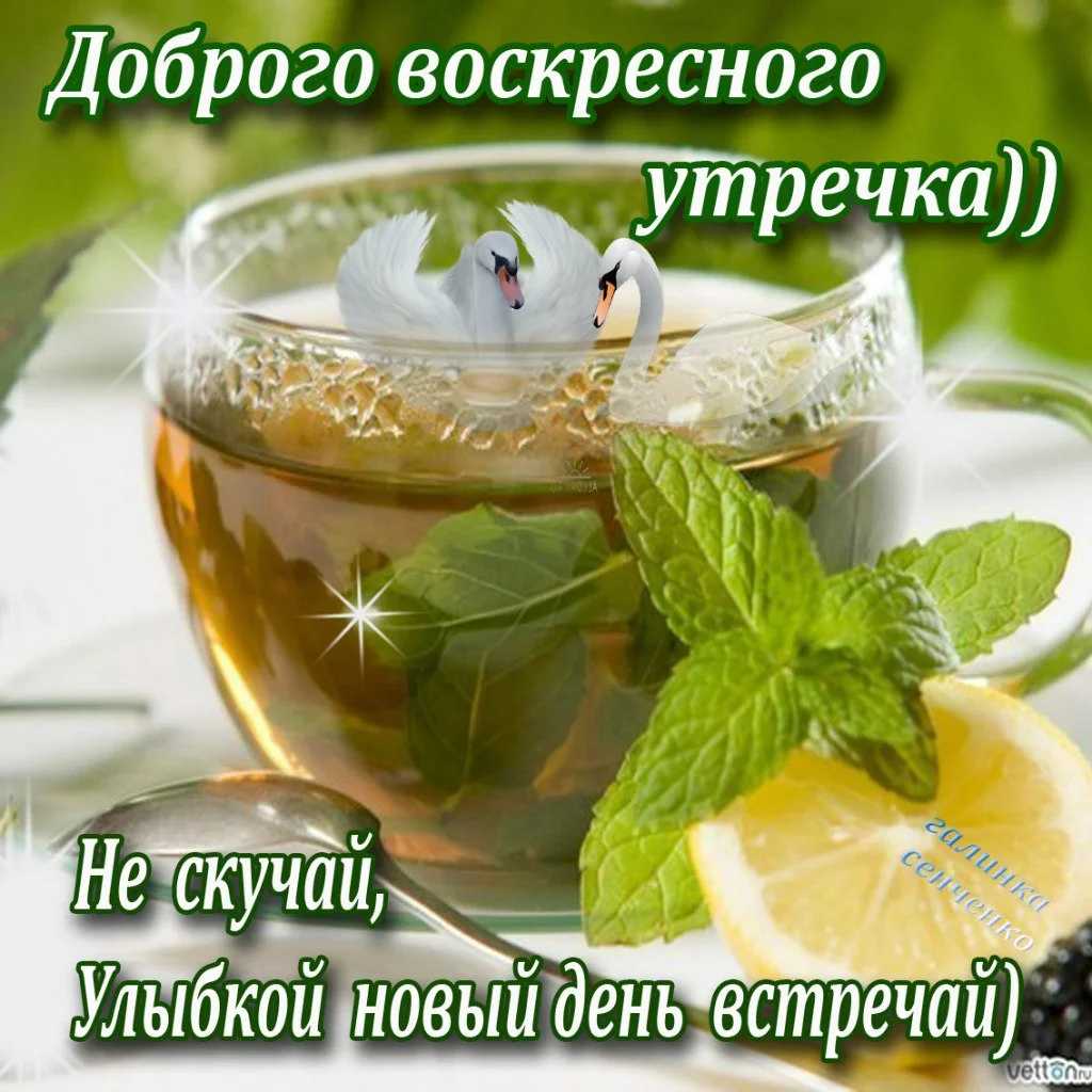 Утро вскр.webp