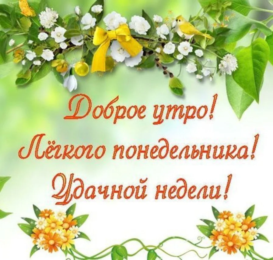 утро.webp