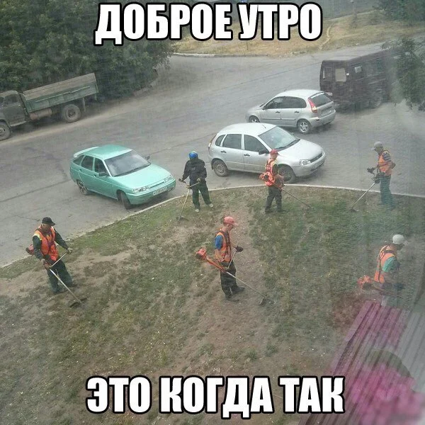 утро.webp
