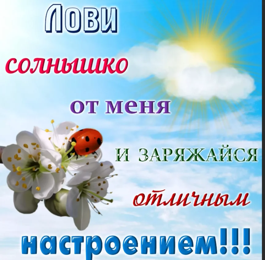 утро2.webp