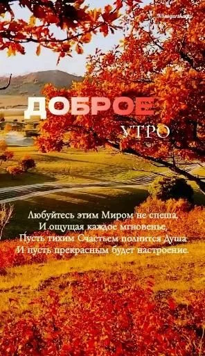 утро3.webp