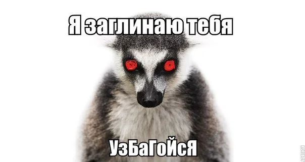 Узбагойзя2.webp