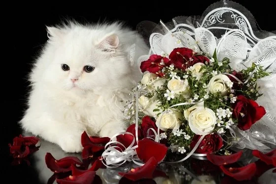uzn_1401790844.webp