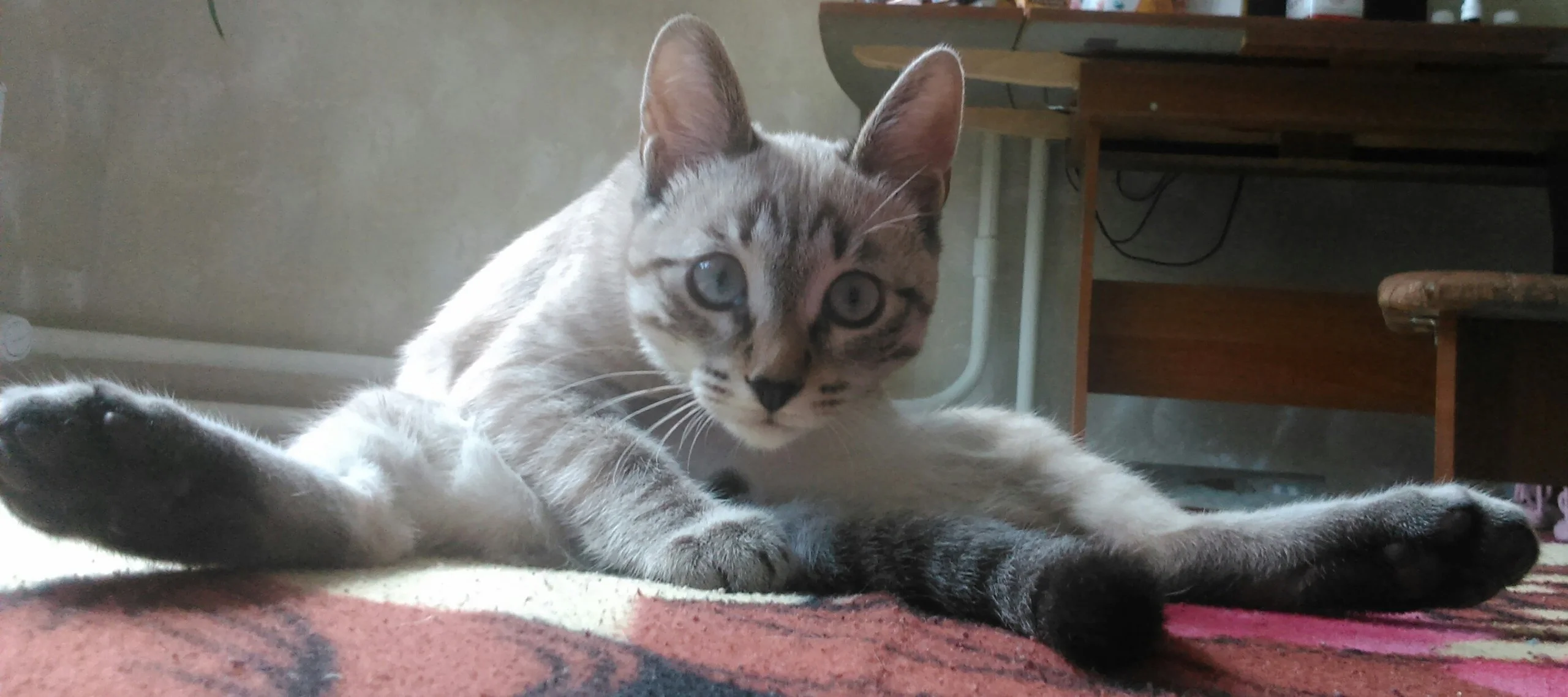 В юности.webp